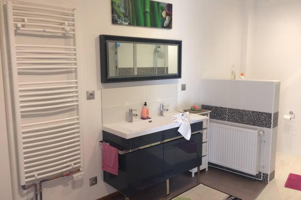 Appartement Tout Confort Centre Baccarat Екстериор снимка